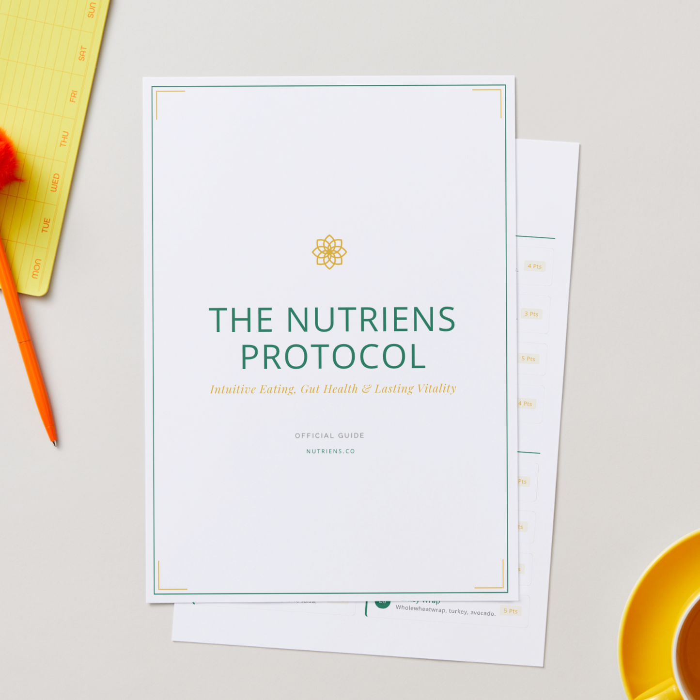 Protocol Planner (Printable)